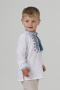 hetman_5